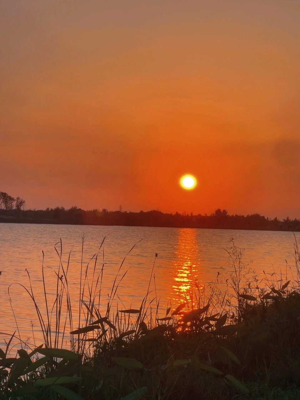阜宁遛娃好去处… 阜宁金沙湖景区有一个免费遛娃的沙滩 	 傍晚人很多
