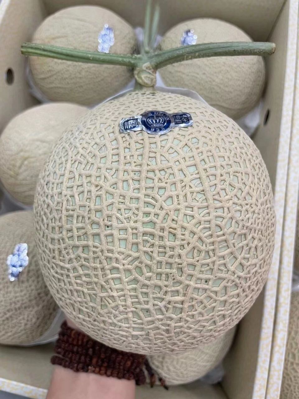 "软嫩耙糯" musk melon网纹蜜瓜 永远的网瓜宙斯 静冈蜜瓜又叫网纹瓜