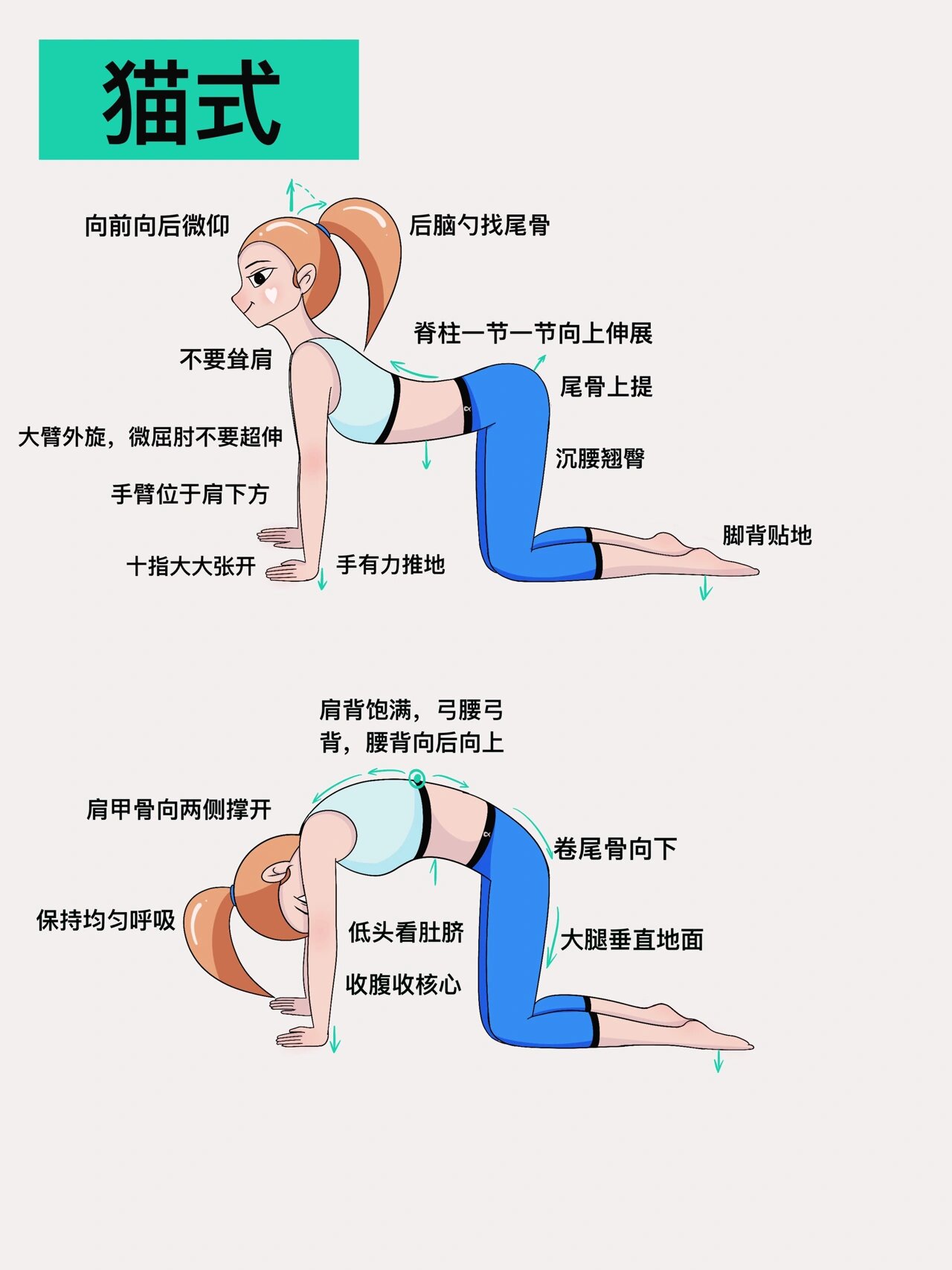 猫式瑜伽小人图片