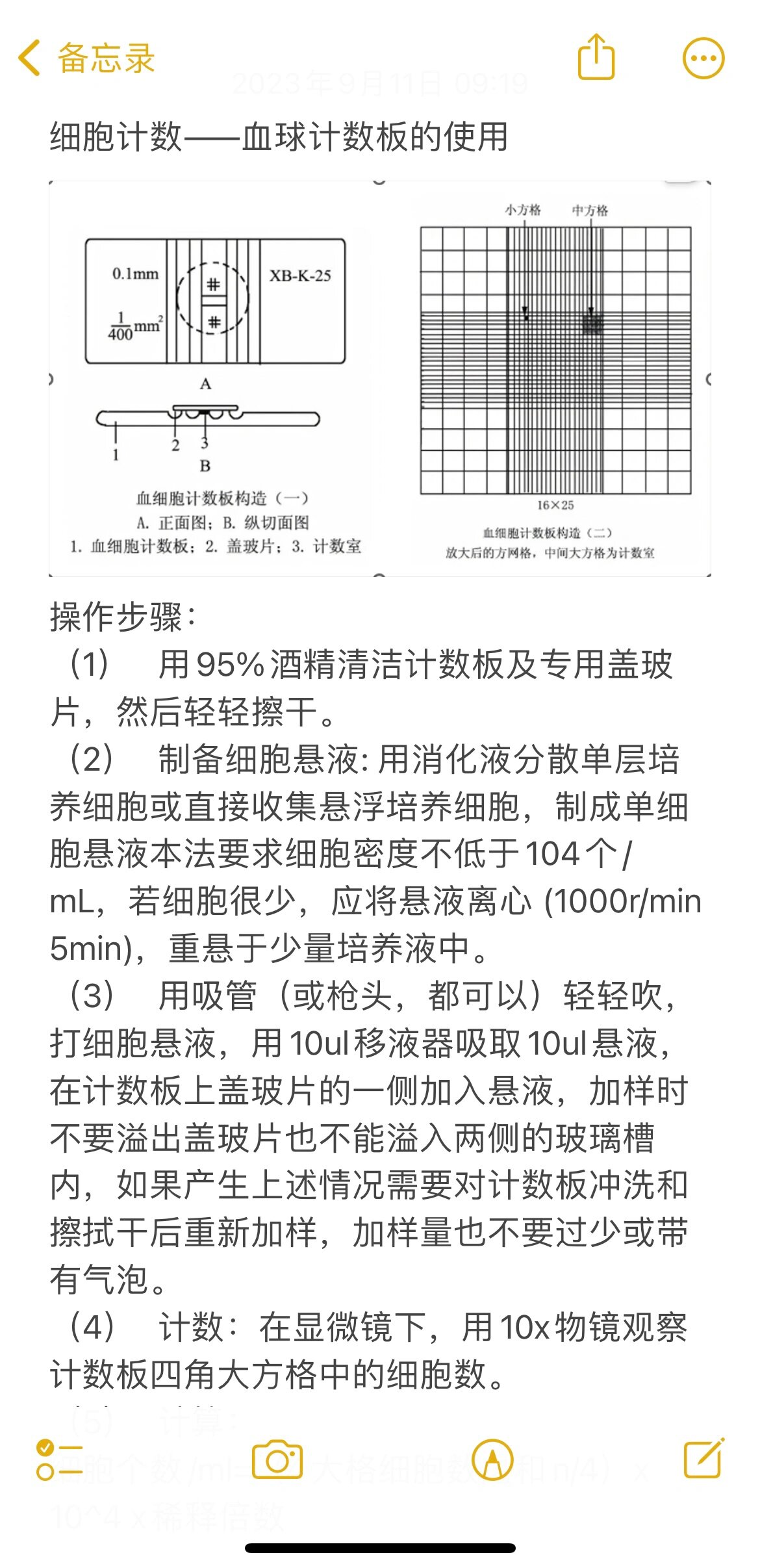 细胞培养2