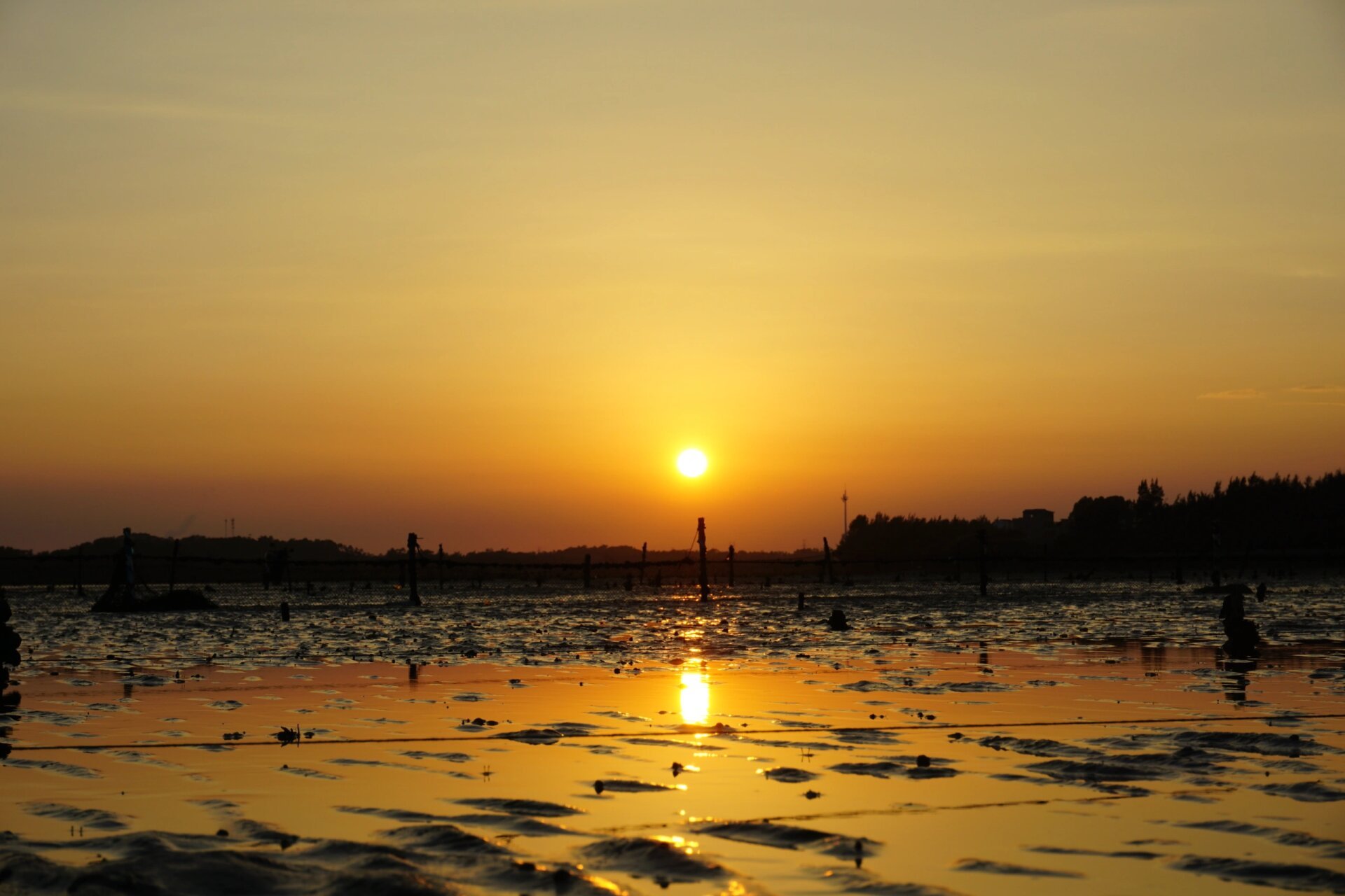 在人山人海的假期,崇左出发,选择了防城港的白沙湾,去防城港很多次,第