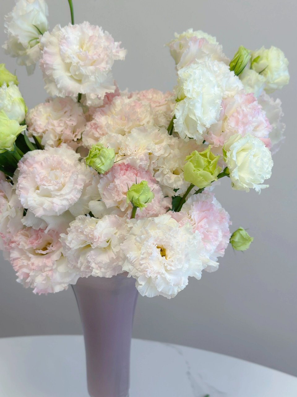 带你每天认识一种花材230/冰淇淋洋桔梗 波浪卷边 花头比普通洋桔梗大