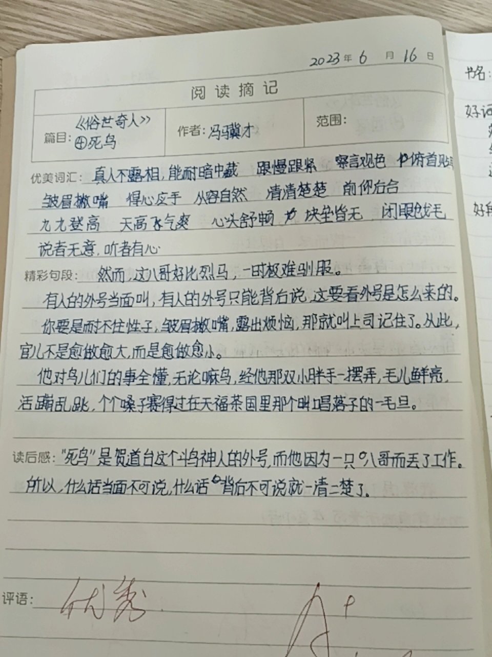 死鸟批注图片