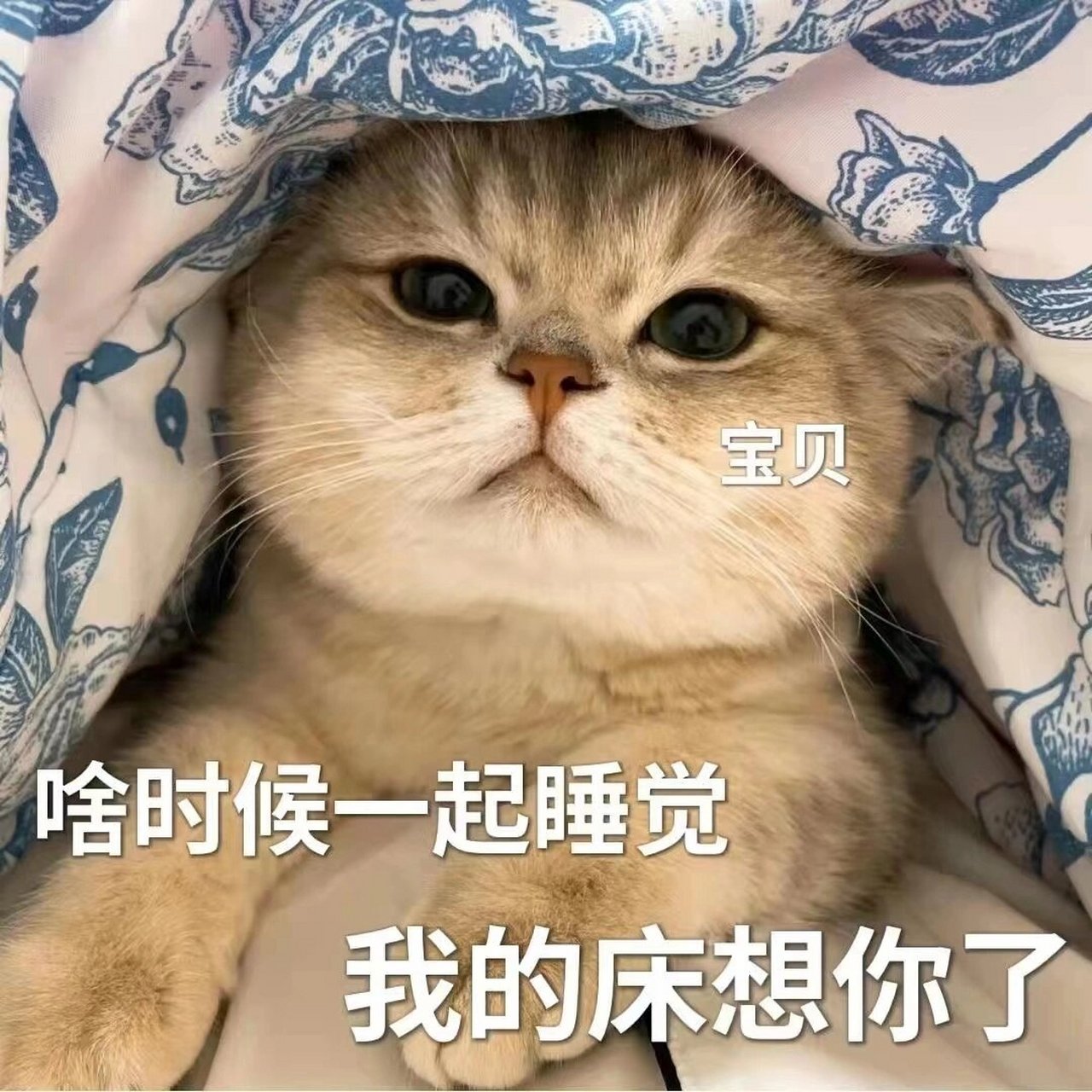 【表情包】快拿去撩你们的男朋友6015 我们什么时候才能见面 聊天