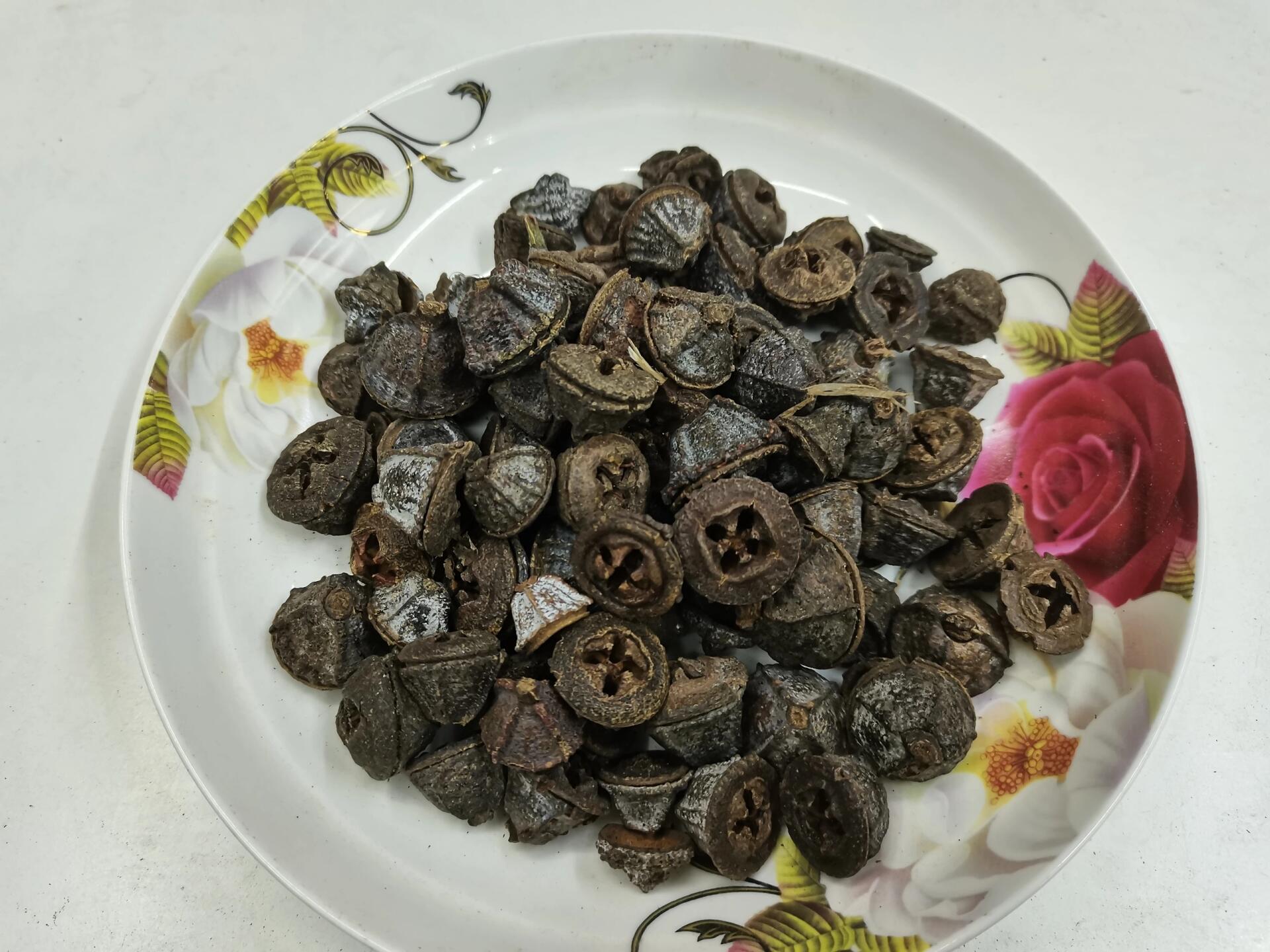 一口钟是一种药用植物,俗称红嗽叭花,主要产于我国西南贡山等地区,是