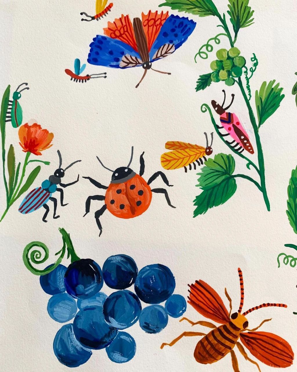 跟carolyn gavin学用彩色画昆虫