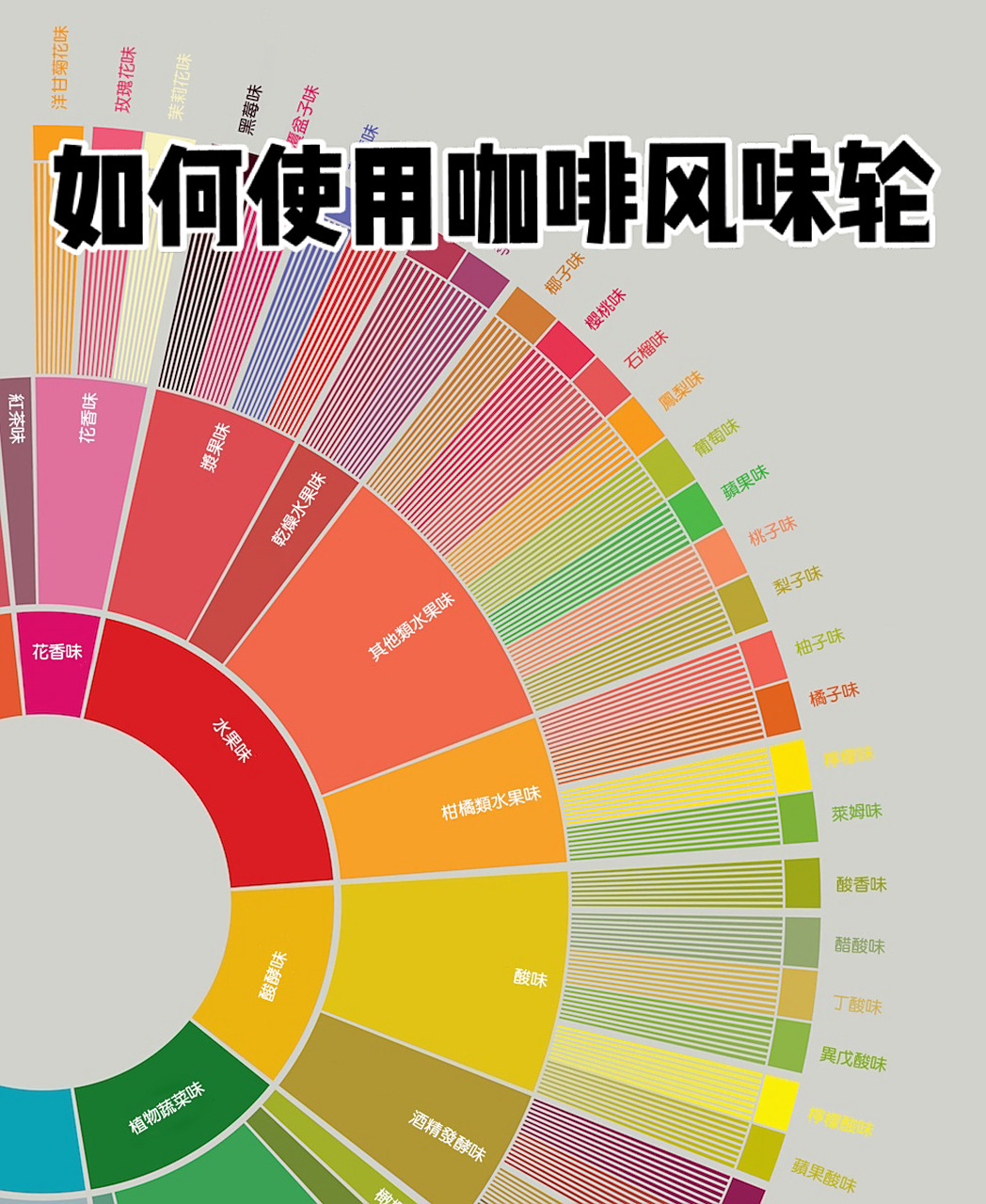 scaa咖啡风味轮 咖啡风味轮是由 scaa 和 wcr 共同研究的成果,此风味