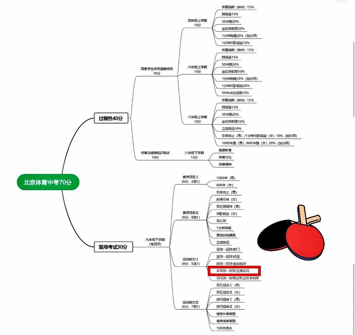中考体育思维导图图片