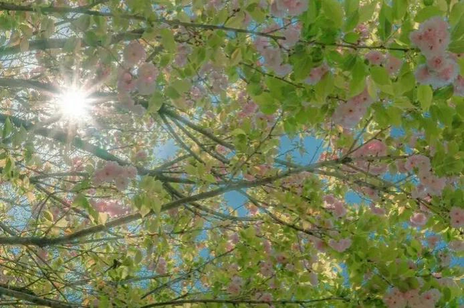 今天早上一觉醒来,听说临沂地震了,真的假的,睡觉睡的太死,根本就没有