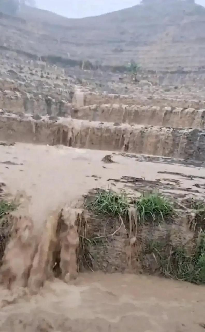 綠水青山 水稻上山 泥流滿山 退耕還林打造出來的綠水青山毀於退林