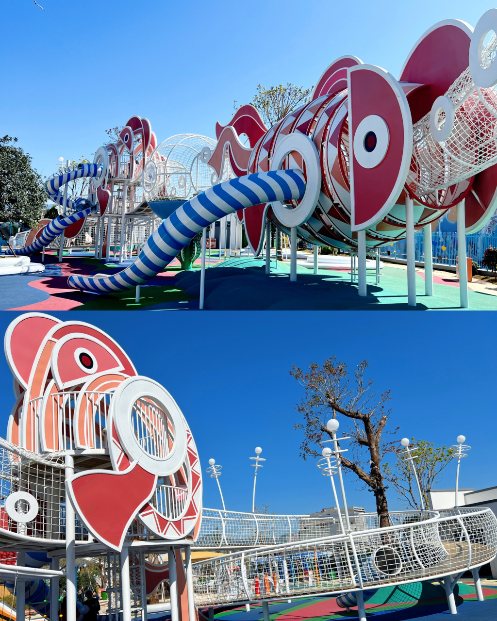 世界金鱼看中国,中国金鱼看福州 这个新开放游乐场的主元素就是金鱼