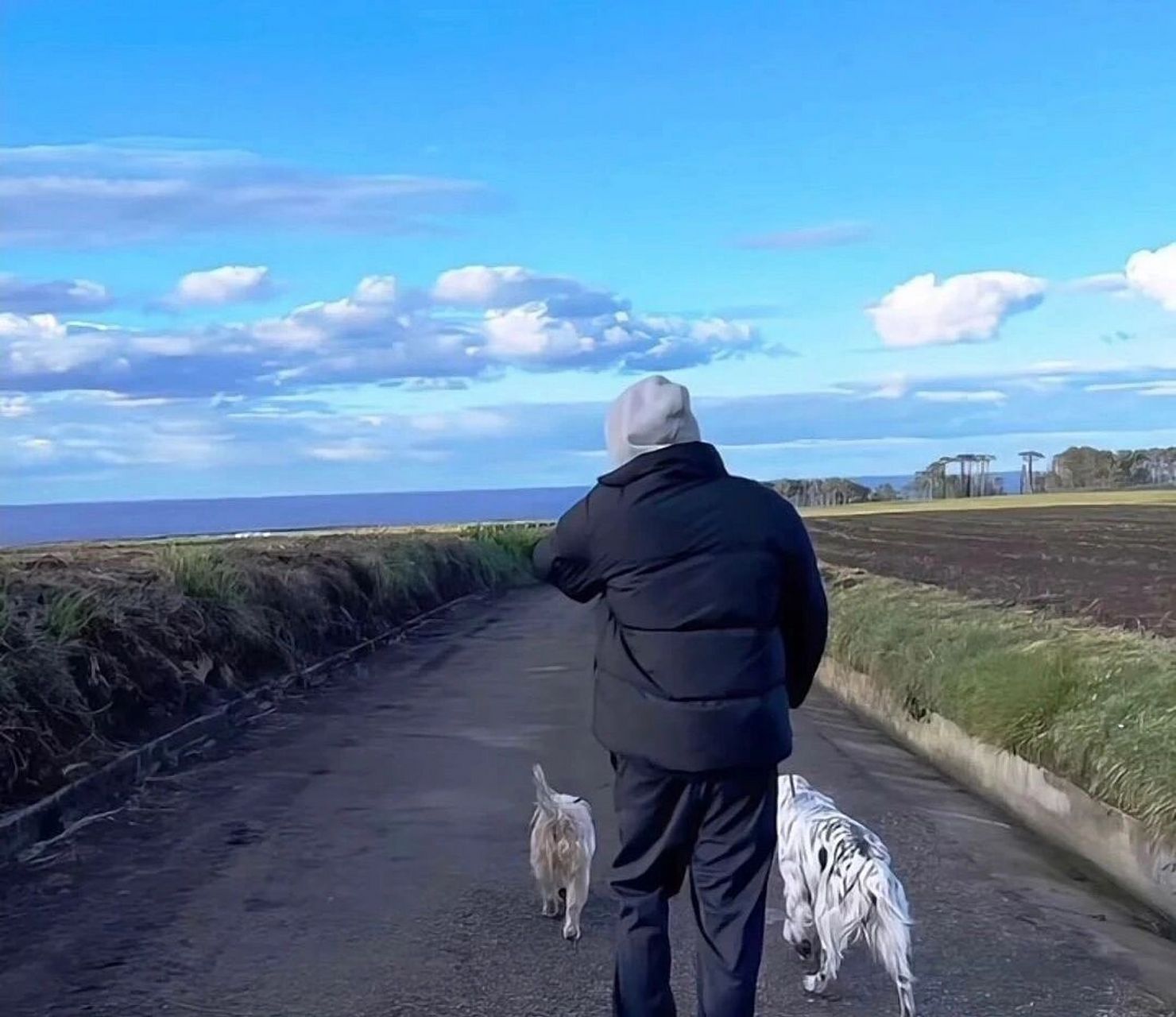 高级感背影男头 看背影就知道是个帅锅