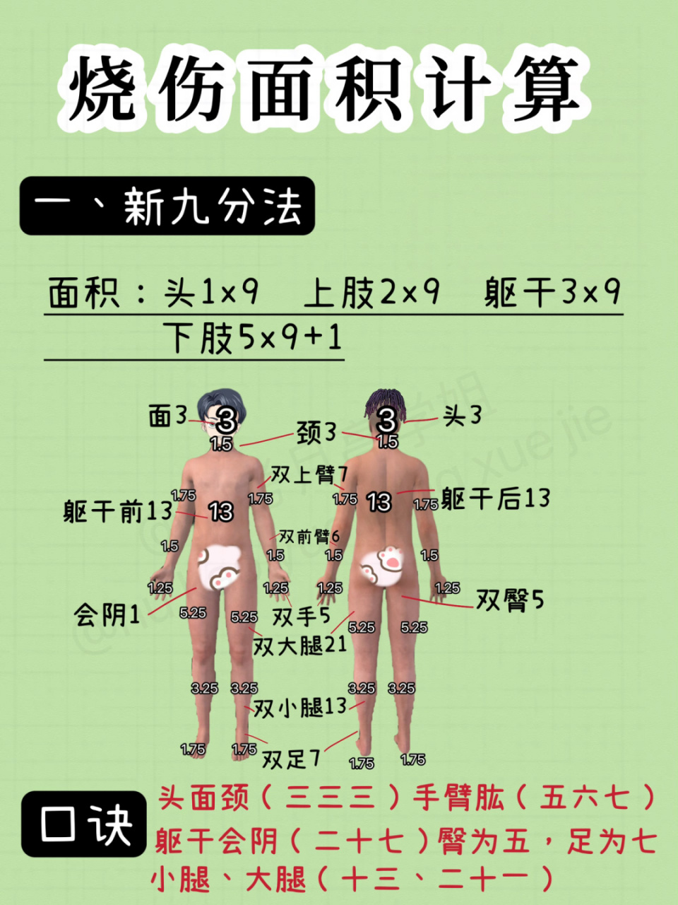 总结烧伤面积计算和口诀分享 7815 月亮不睡我不睡 烧伤面积口诀