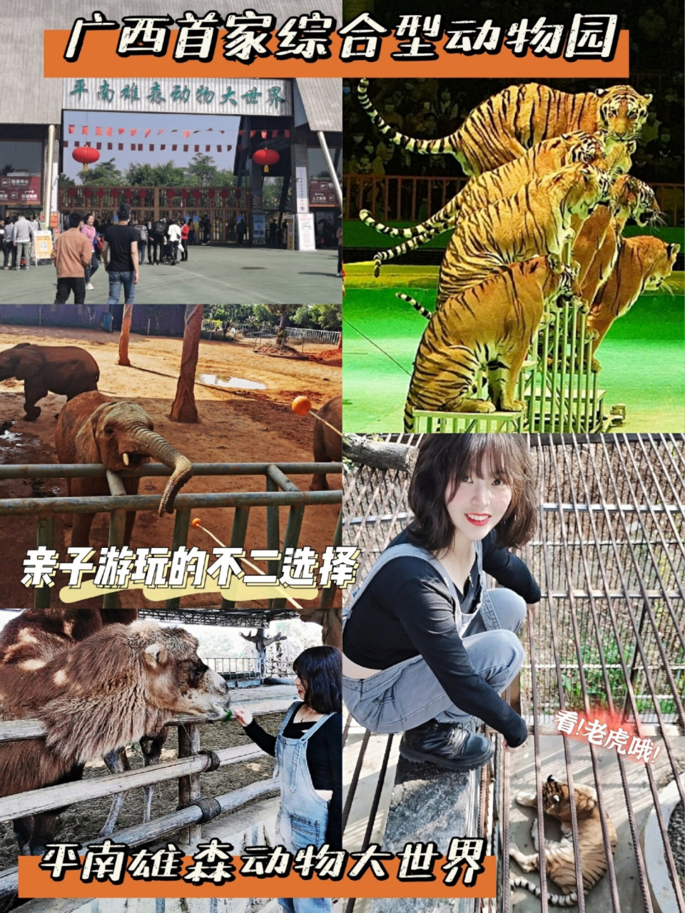 广西周边游-玩转雄森动物大世界 不用去长隆!