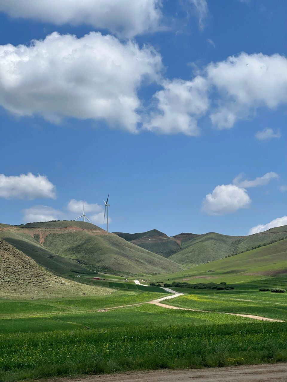 丰宁坝上草原 千松坝森林公园 日期:23 07 15出发-23 07 16回程 2天一