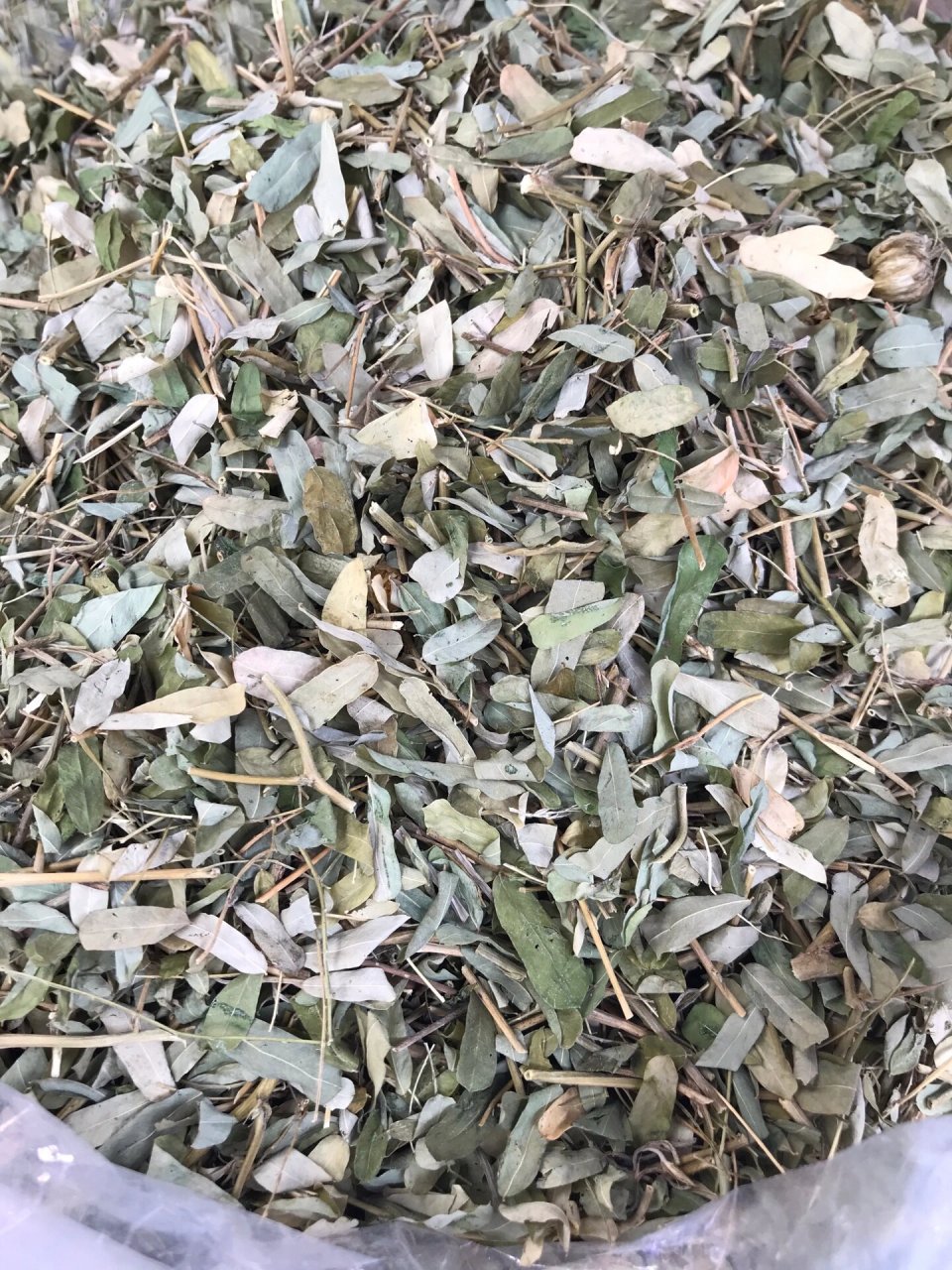 鸡骨草是护肝好手,合适熬夜,喝酒,上班族 味甘,性凉,具有利湿退黄