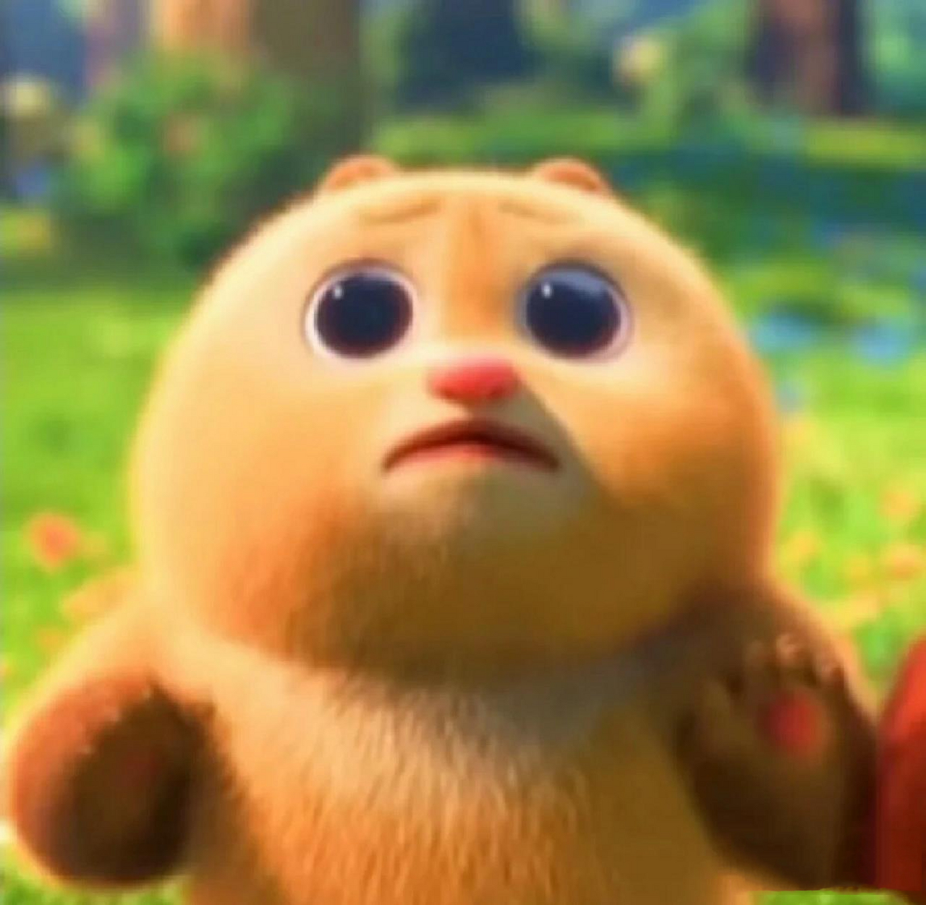 熊大熊二小时候头像(好可爱)