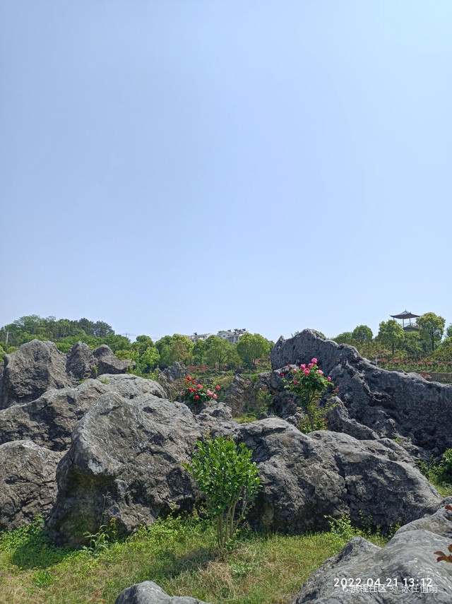 武汉花海石林风景区图片