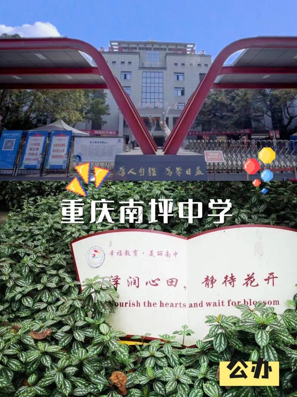 2023年重庆好校推荐(八)—南坪中学 有想了解其他学校的可以滴滴我 50