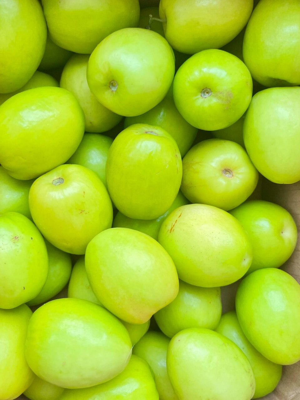 pdd买的元谋青枣真的太好吃啦! 姐妹们!我真的是挖宝小能手!