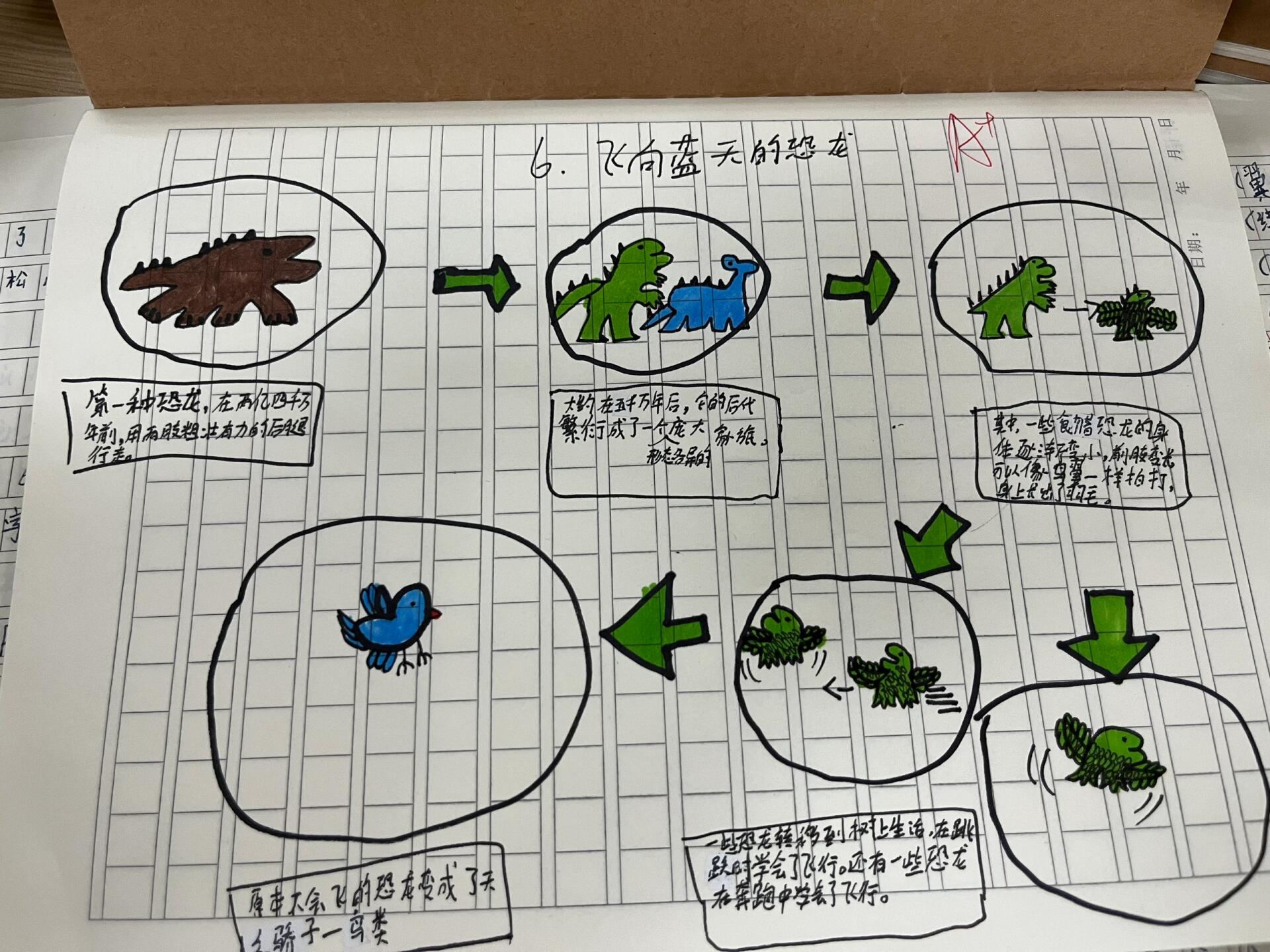 飞向蓝天的恐龙特色作业 四下特色作业 飞向蓝天的恐龙思维导图