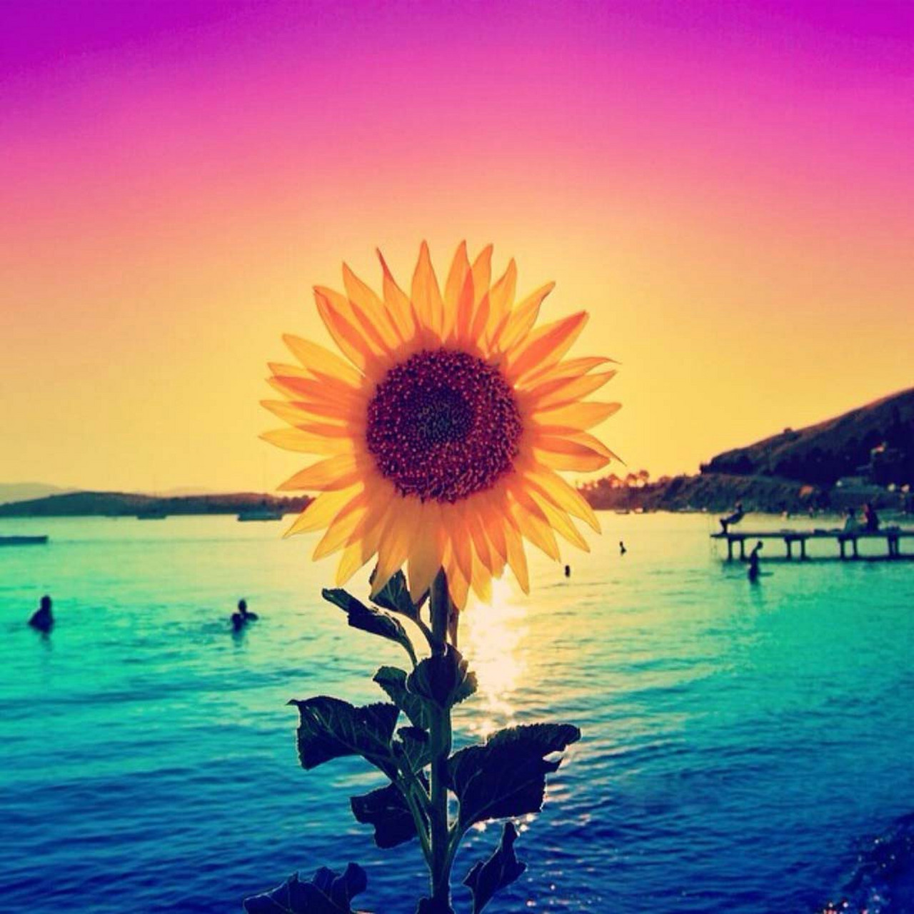 似水流年才是一个人的一切,其余的全是片刻的欢娱和不幸.——王小波