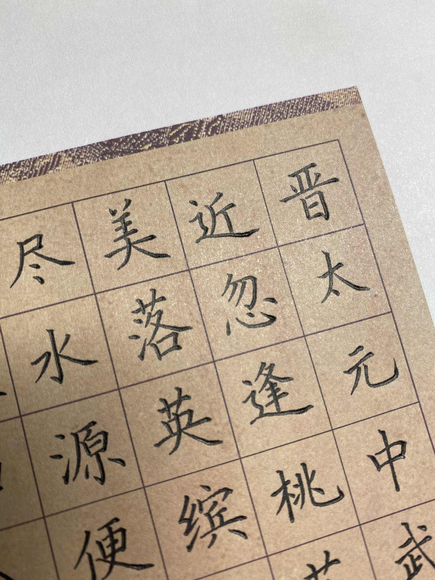 我的书法分享# #硬笔书法# #硬笔书法练习# #桃花源记# #写字是一种
