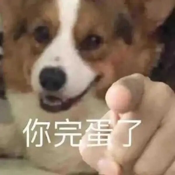 狗狗指人表情包