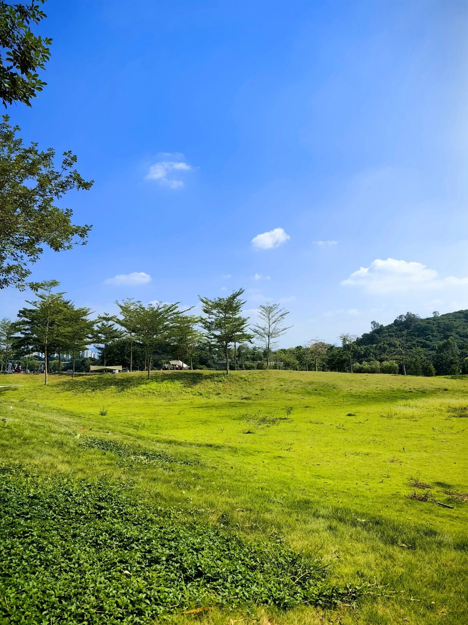 从化风云岭森林公园 大草坪,小河流,适合娃疯跑玩游戏.
