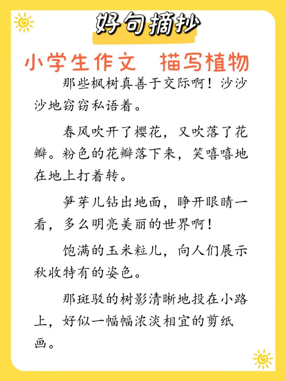 小学生作文好句好段摘抄/晨读(描写植物)