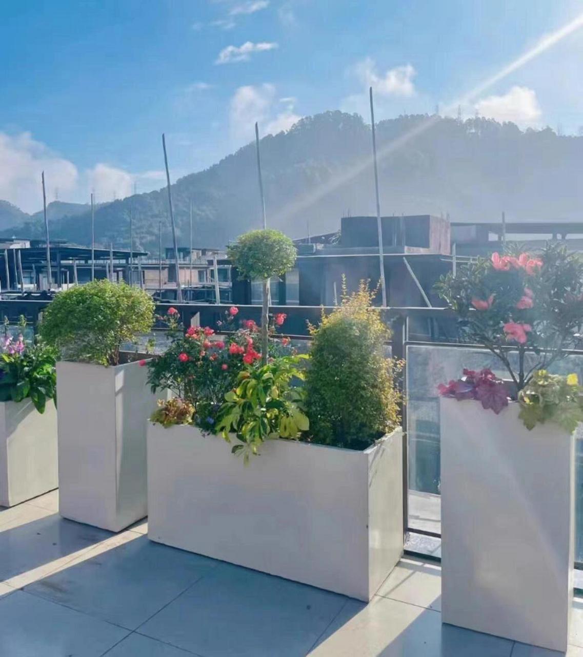 玻璃钢花盆 #玻璃钢花坛 #玻璃钢花箱厂家 #玻璃钢花箱定制#仿真绿植