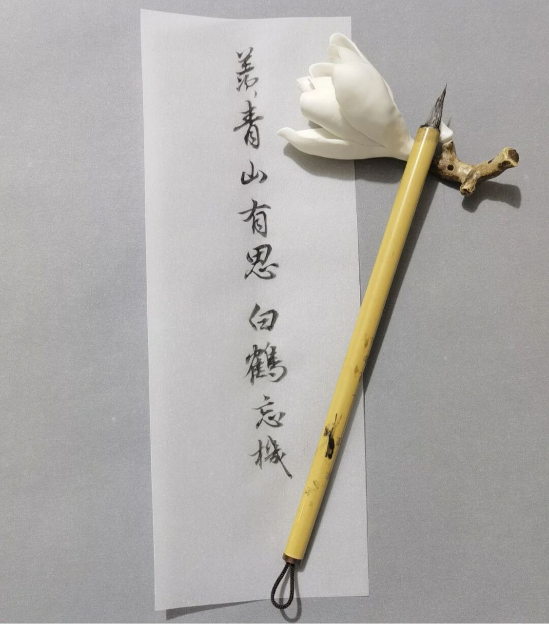 八声甘州 羡青山有思 白鹤忘机#书法# #我的书法分享# #每日练字打卡