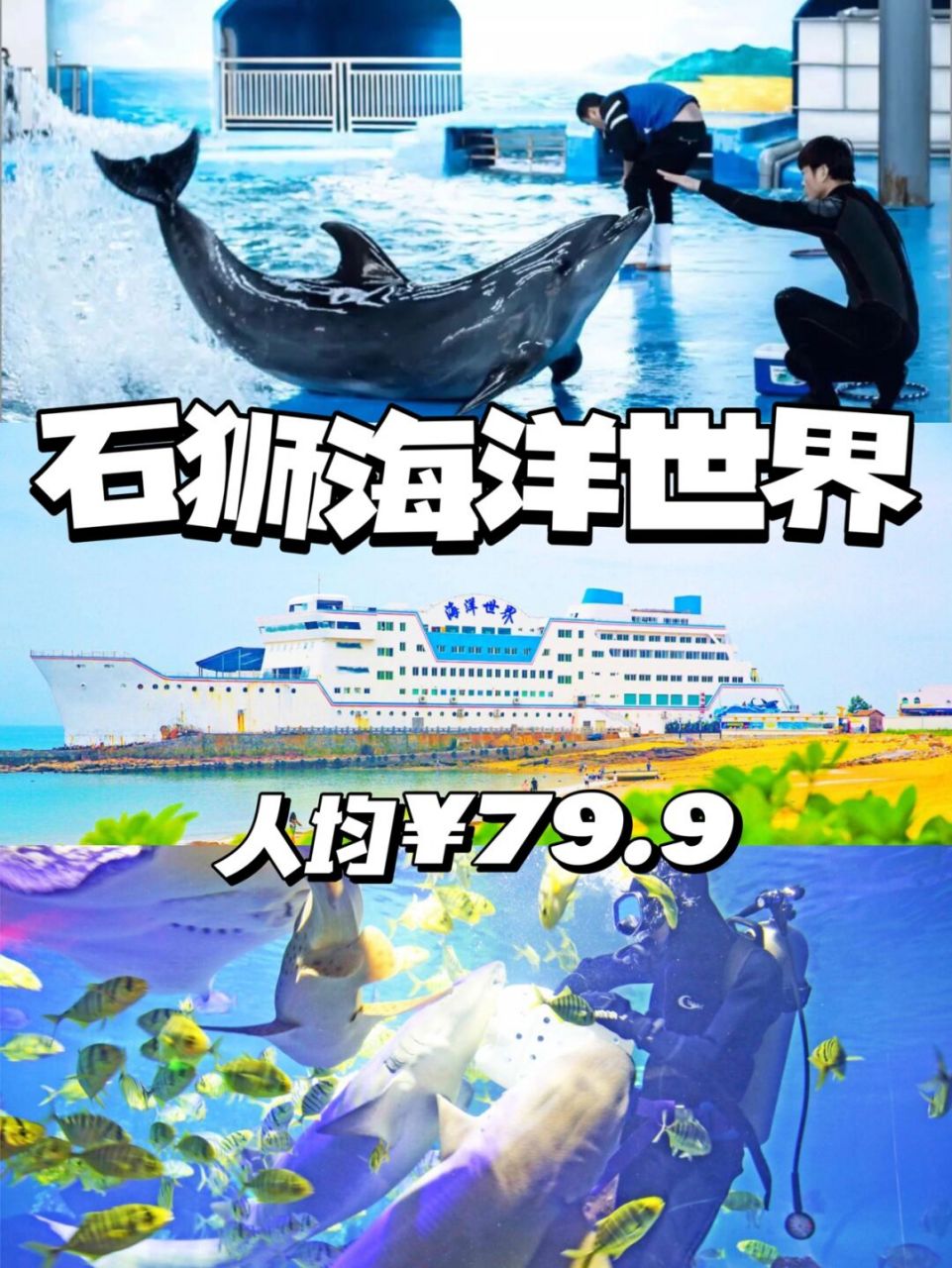 泉州亲子旅行08石狮海洋世界玩乐一条龙09 石狮海洋世界就在石狮