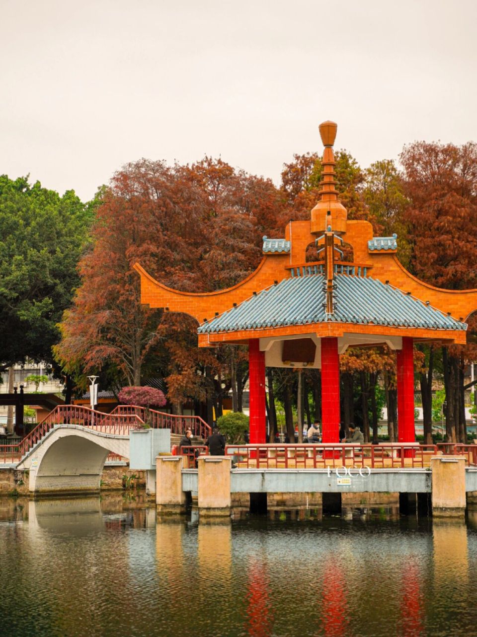 般的落羽杉太美了 · 9515近期刷到好多人发金砂公园94落羽杉