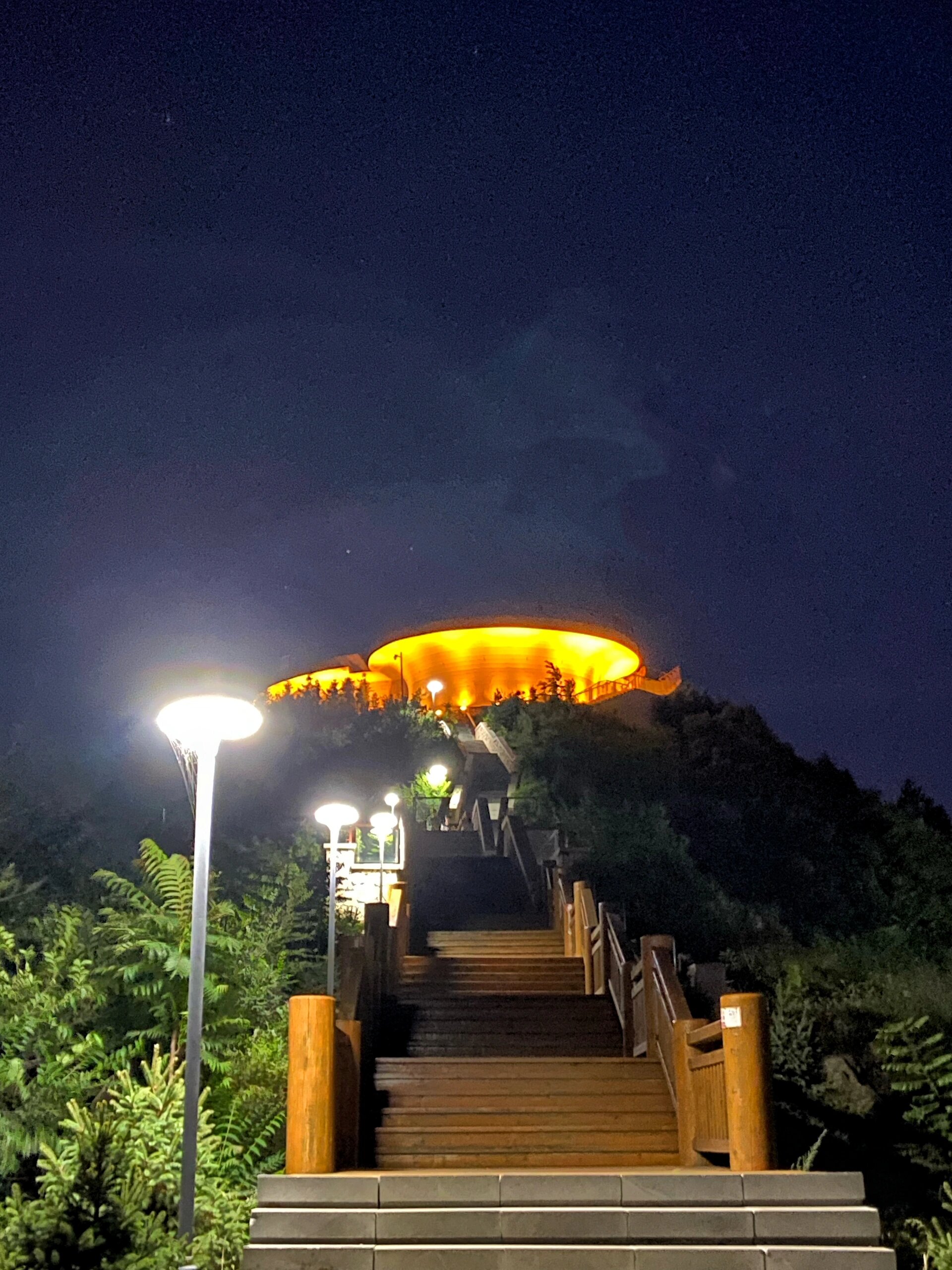 南山公园|锦州绝美夜景看9090
