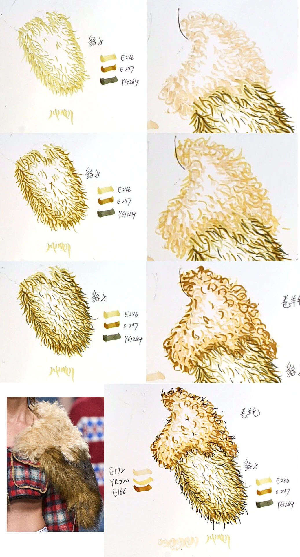 羊毛和貉子毛的绘制 手绘课上示范的皮草画法 1注意用疏密去表现皮草