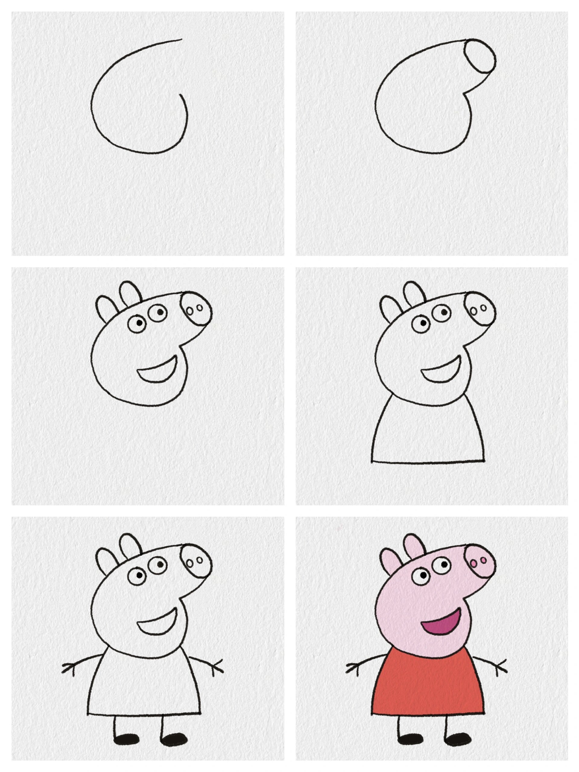 6步学会画小猪佩奇