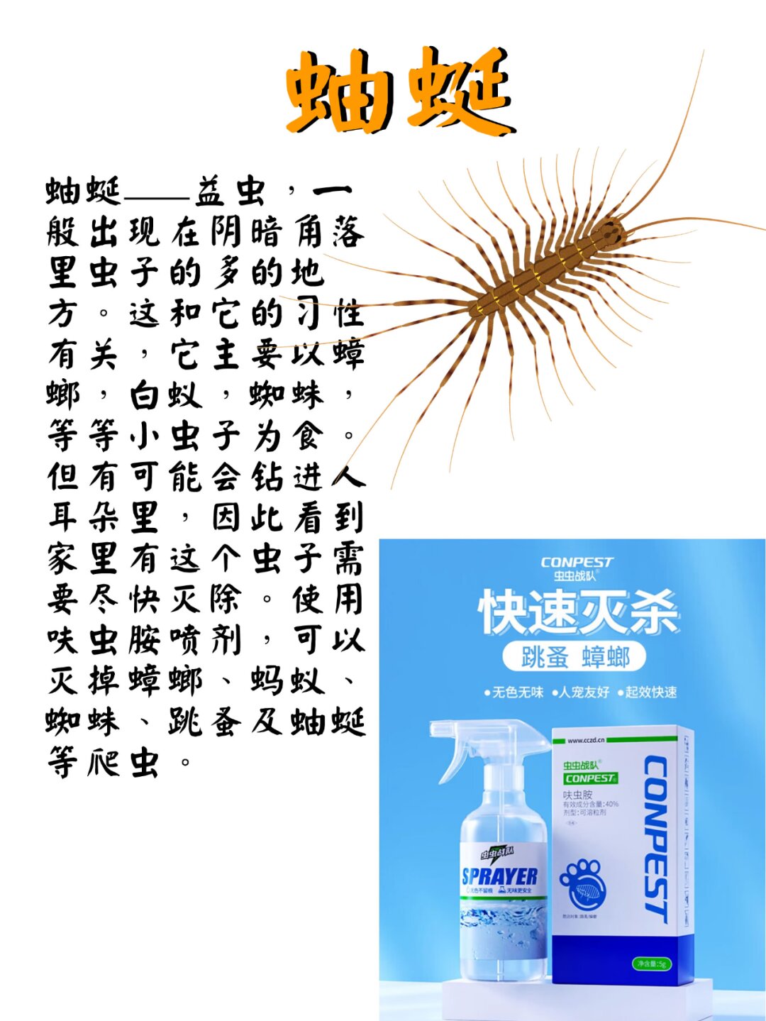 十大毒虫子