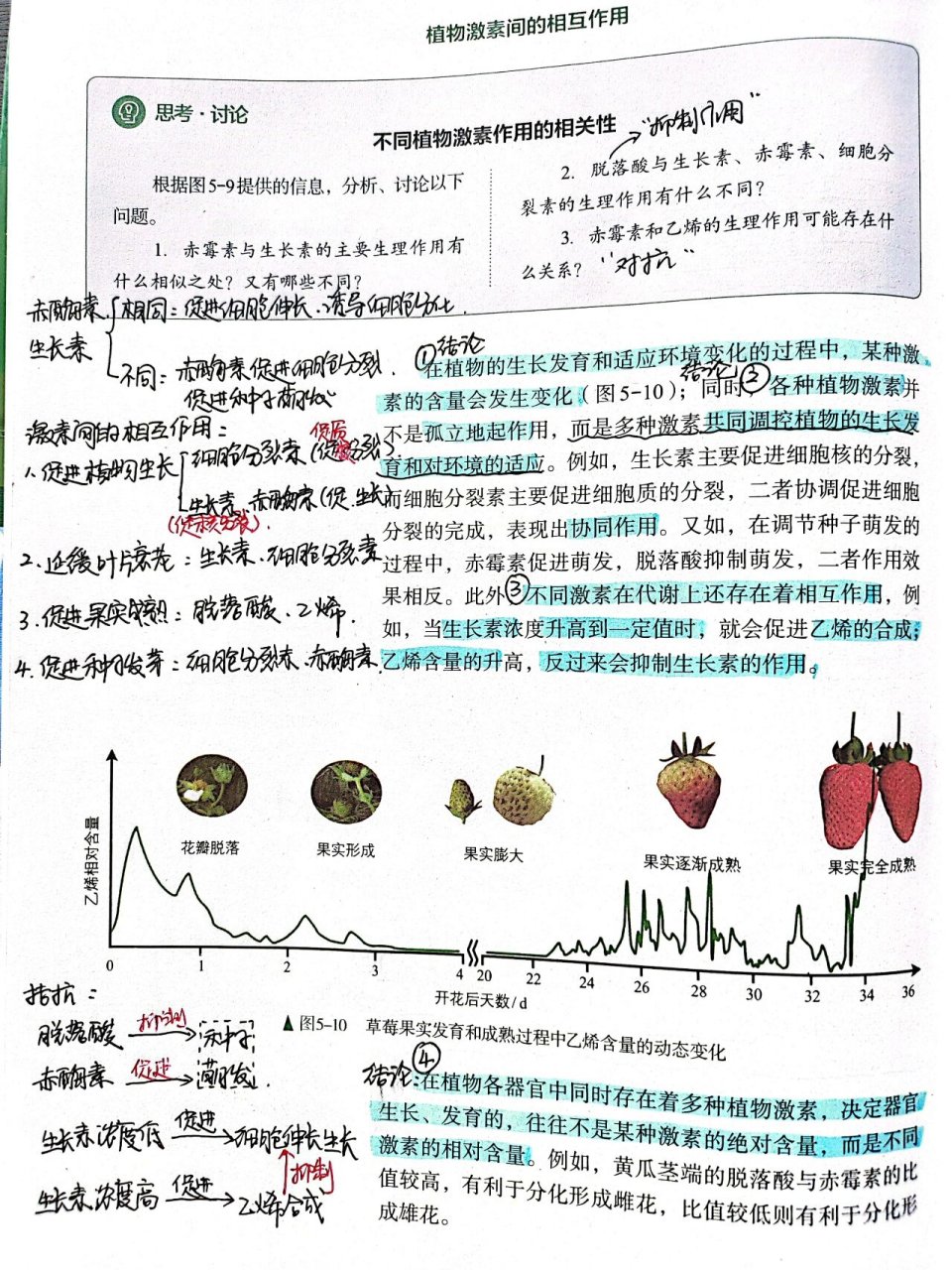 植物激素SA图片