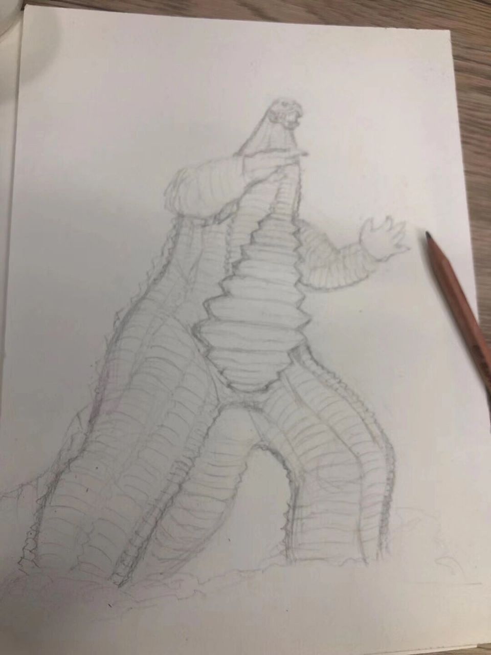 用针管笔画的雷德王 针管笔的确好用,不过我下笔力气太大,基本画一幅