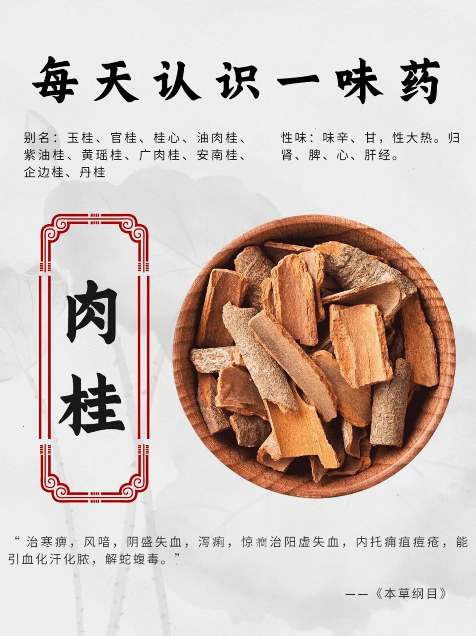 花果香肉桂的特点图片