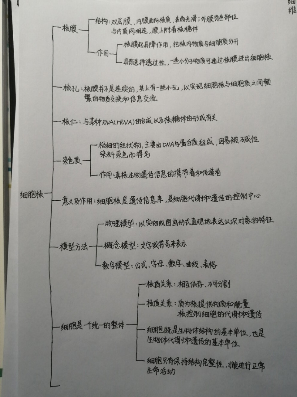 细胞核思维导图(详细版) 细胞核的思维导图也出炉啦97