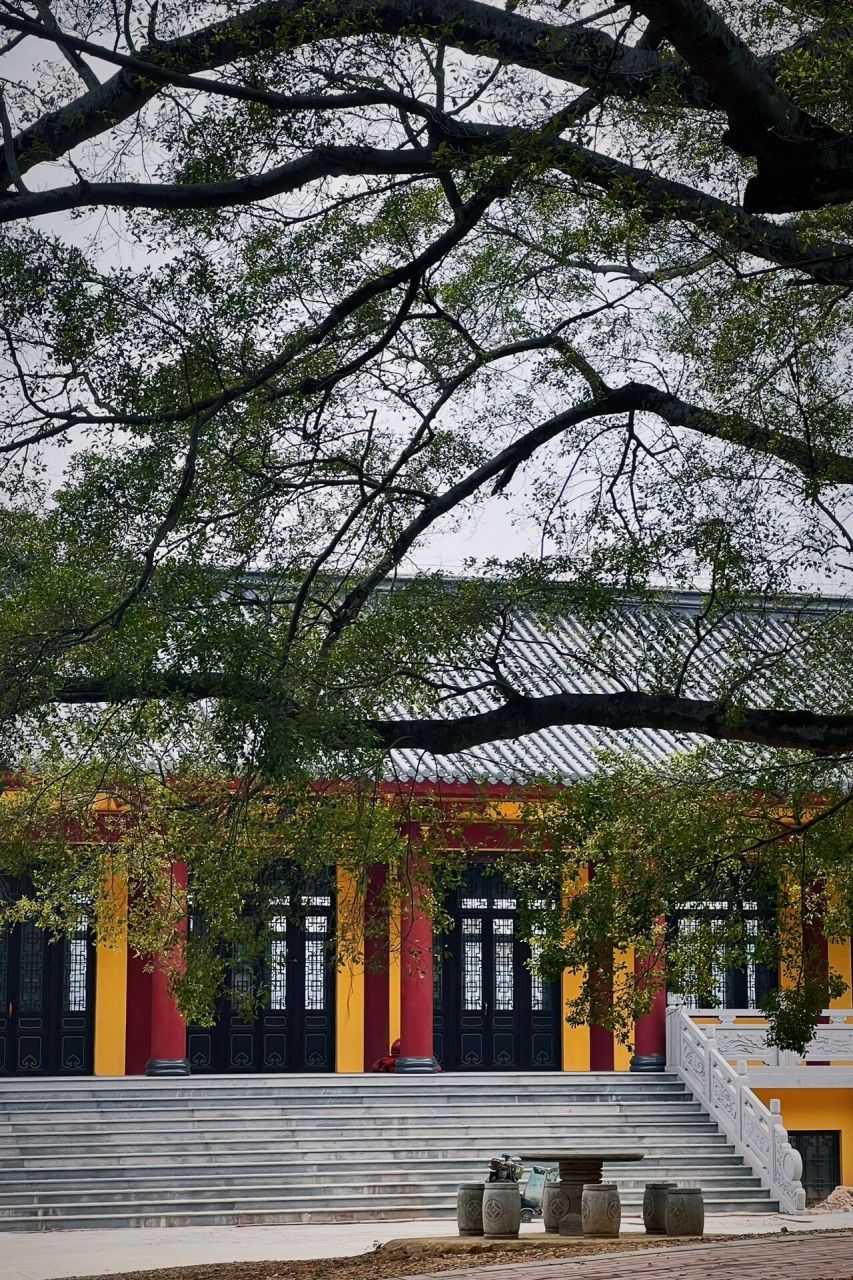 柳州开山寺 | 听寺庙里的禅音 柳城凤山县的开山寺,每逢初一十五都会