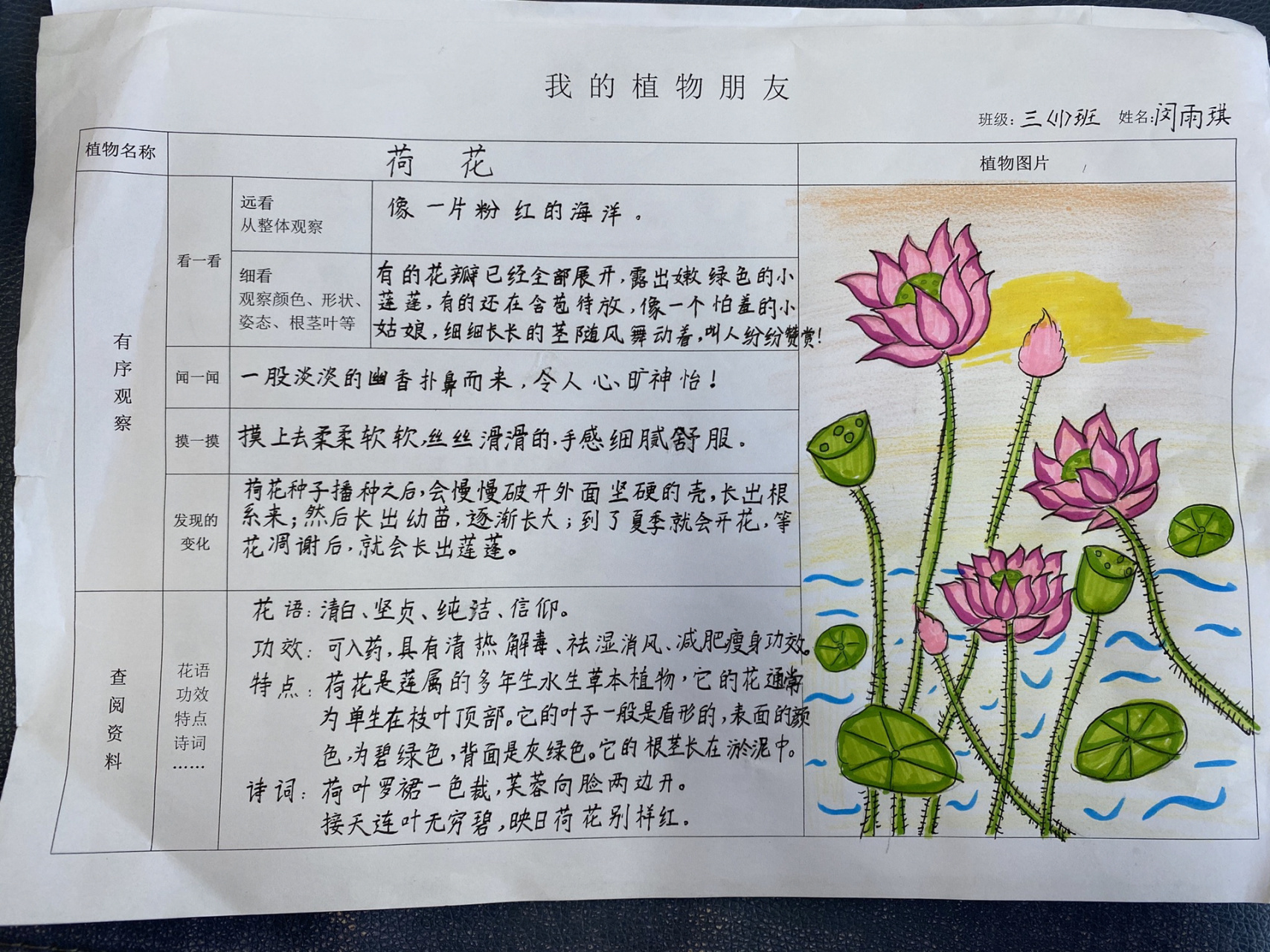 三年级植物记录卡作业图片