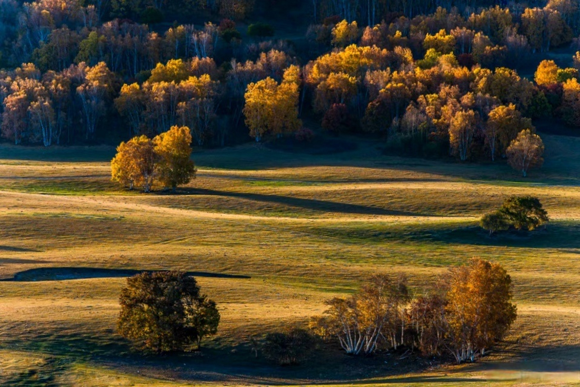 十一旅行计划是感受祖国温度#当草原上的秋天来临时,内蒙乌兰布统层
