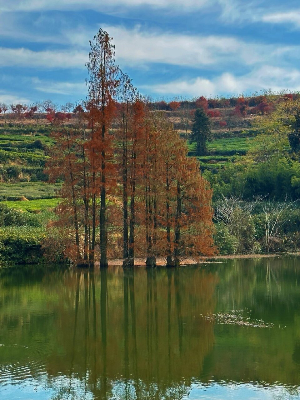 藏在绍兴嵊州的宝藏小众旅行地|人少景美  99起点:南山湖村 99