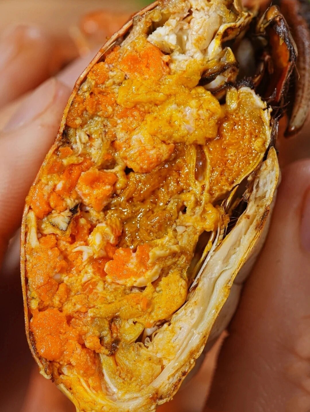 0202它来了,它来了,建湖九龙口大闸蟹年终团购终于来了!