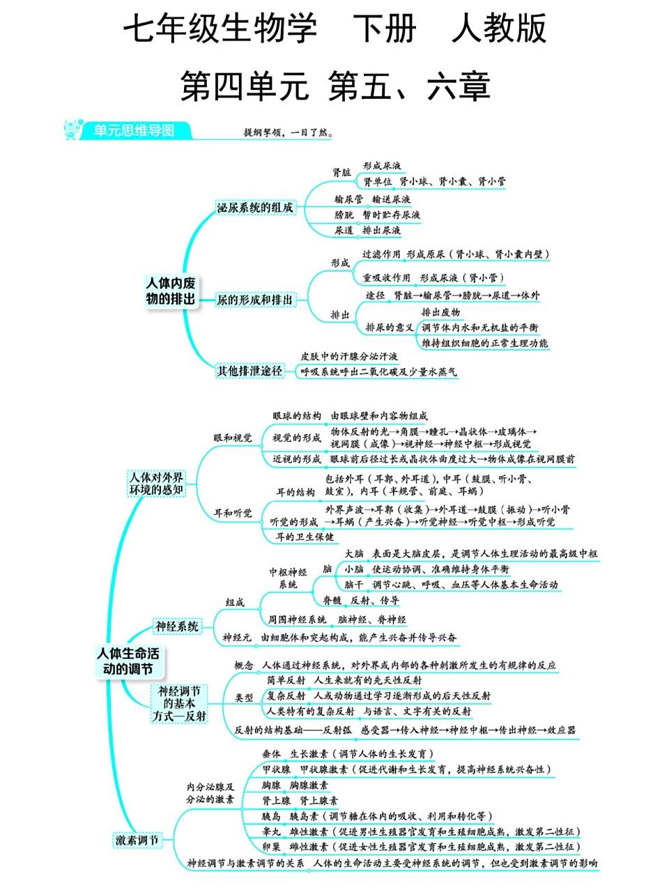 七下生物第四单元第五六章思维导图!