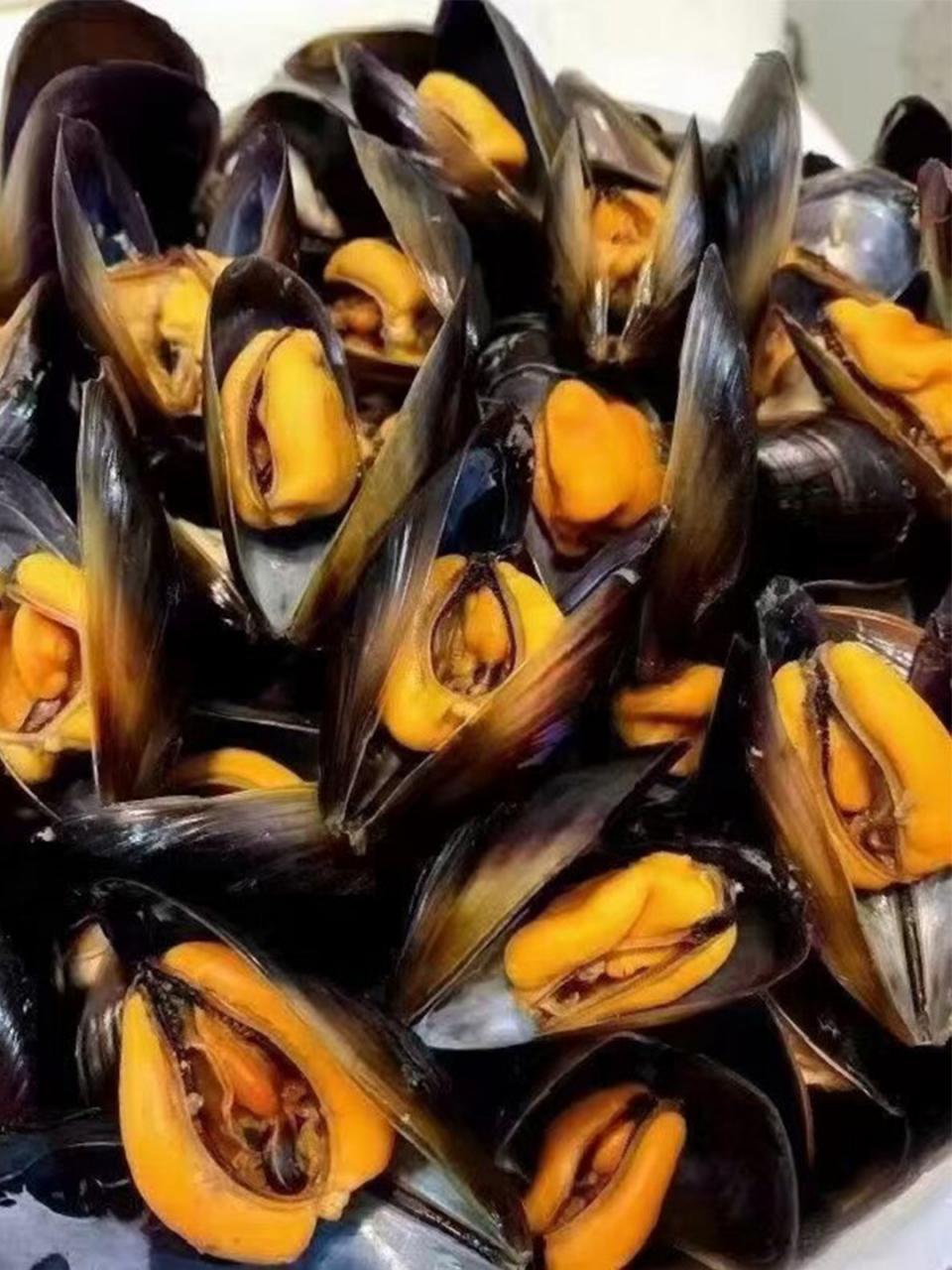 99今天来跟大家分享一组海虹的图片,简直美到犯规,看得我口水都要流