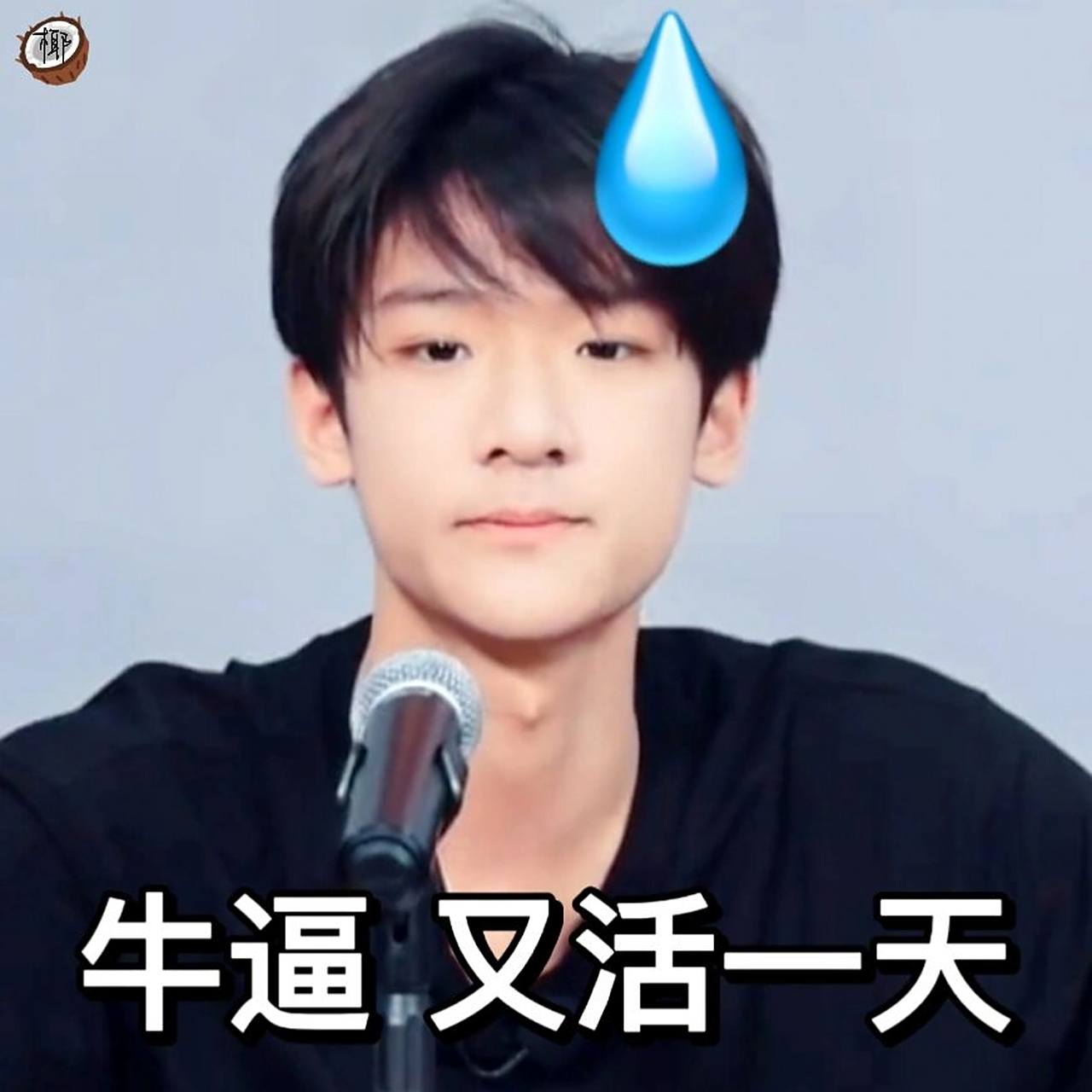 《蝴蝶效应》表情包(张峻豪篇) 这次舞台孩子们都表现的很棒,每个人都